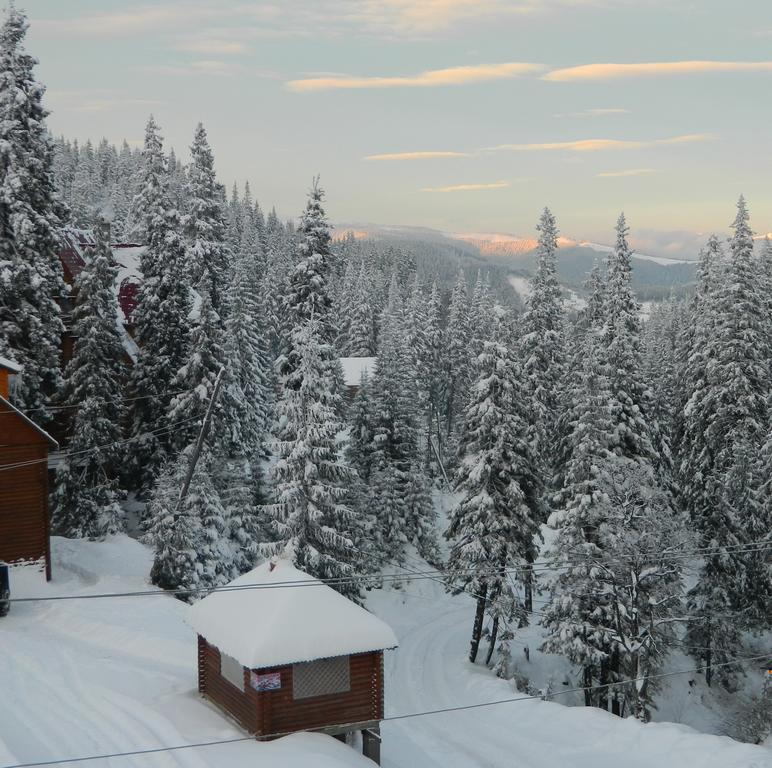 U Stozi Hotel Dragobrat Quarto foto